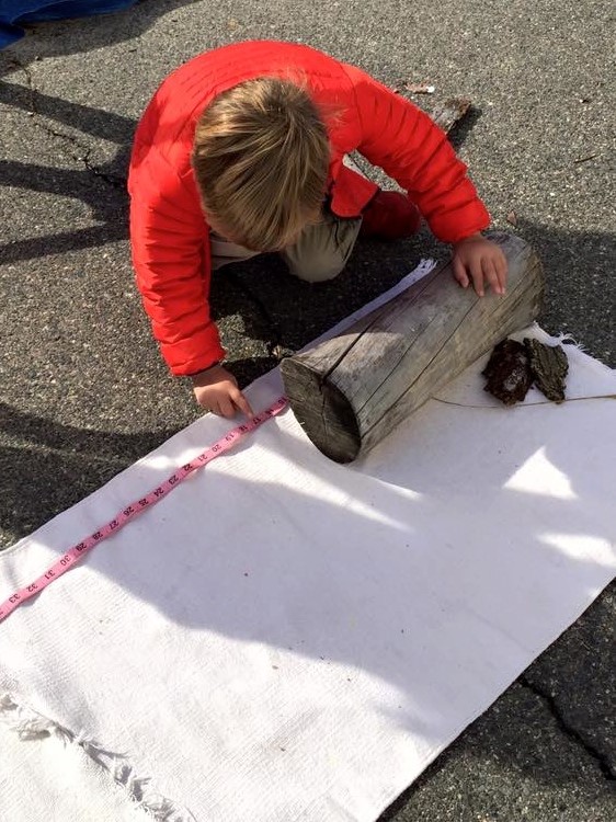 Silver Spruce Montessori School Nature Explore Program