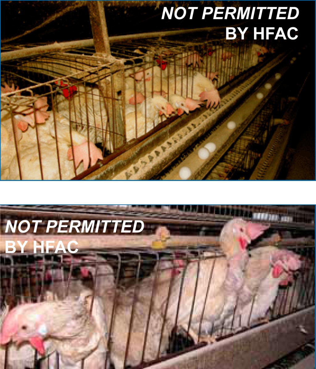 CageFree Certified Humane