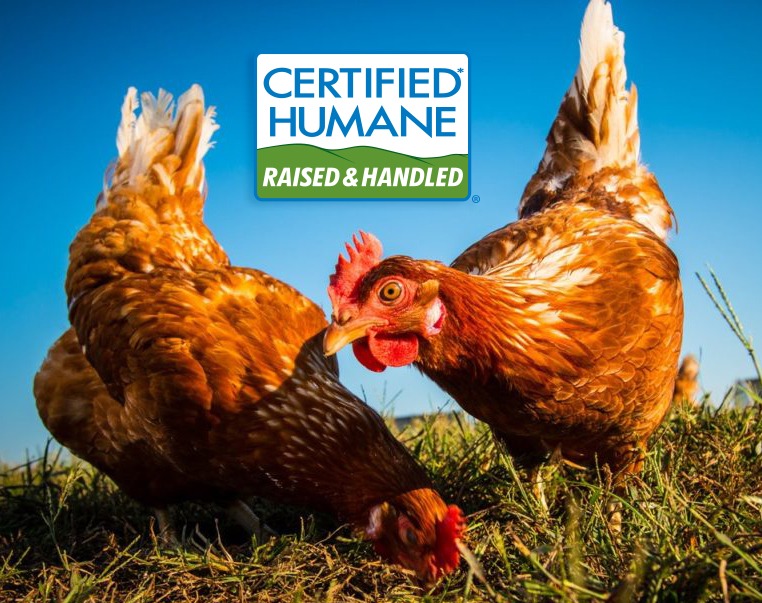 Certified Humane A Project of Humane Farm Animal Care