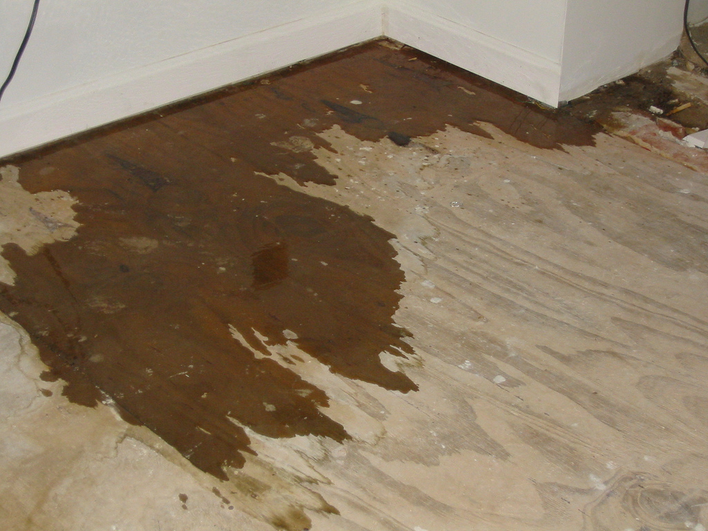  Certified Leak Detection of Orlando