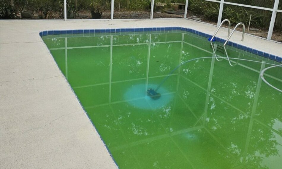How Phosphates in Pool Water Fuel Algae Growth