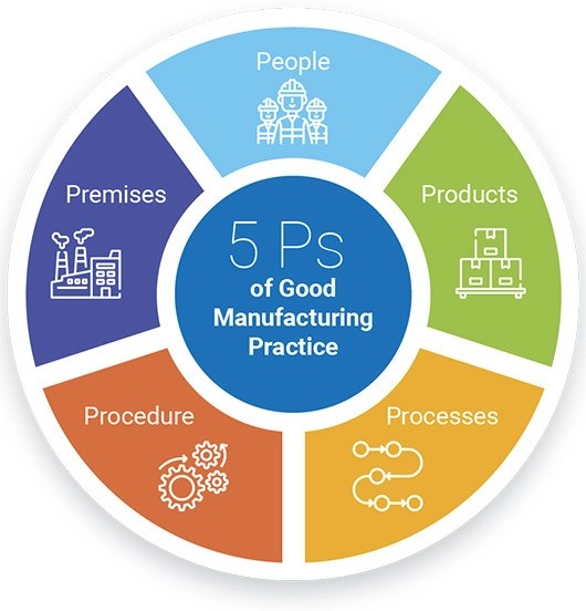What are the main elements of GMP? Certify Consulting Group