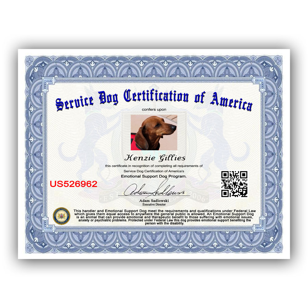 emotional support dog vizsla