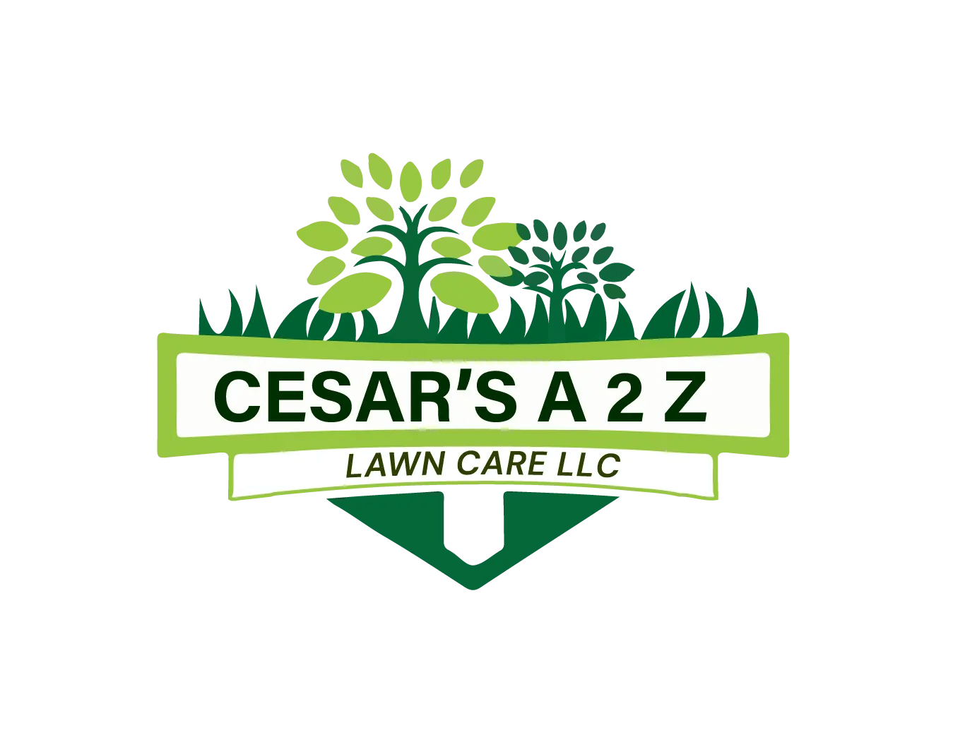 The Best Landscaping Services Cesar’s A 2 Z Lawn Care LLC
