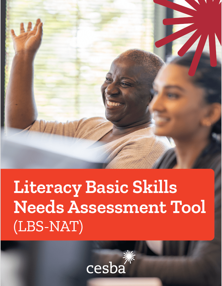 Literacy and Basic Skills Needs Assessment Tool for Ontario School