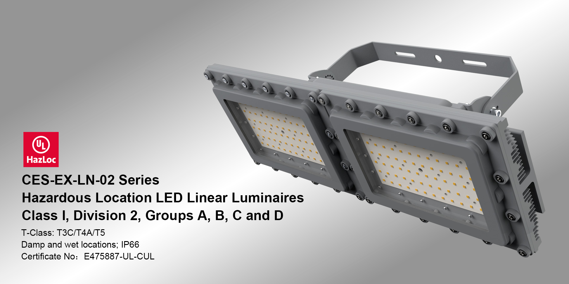 Hazardous Location LED Linear Lights CESLN02