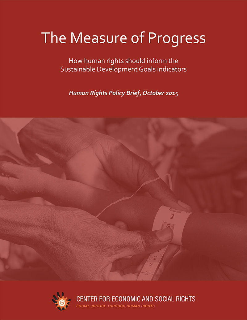 The Measure of Progress how human rights should inform SDG indicators