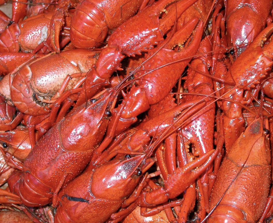 Menu C'est Bon Cafe of Houma, Louisiana