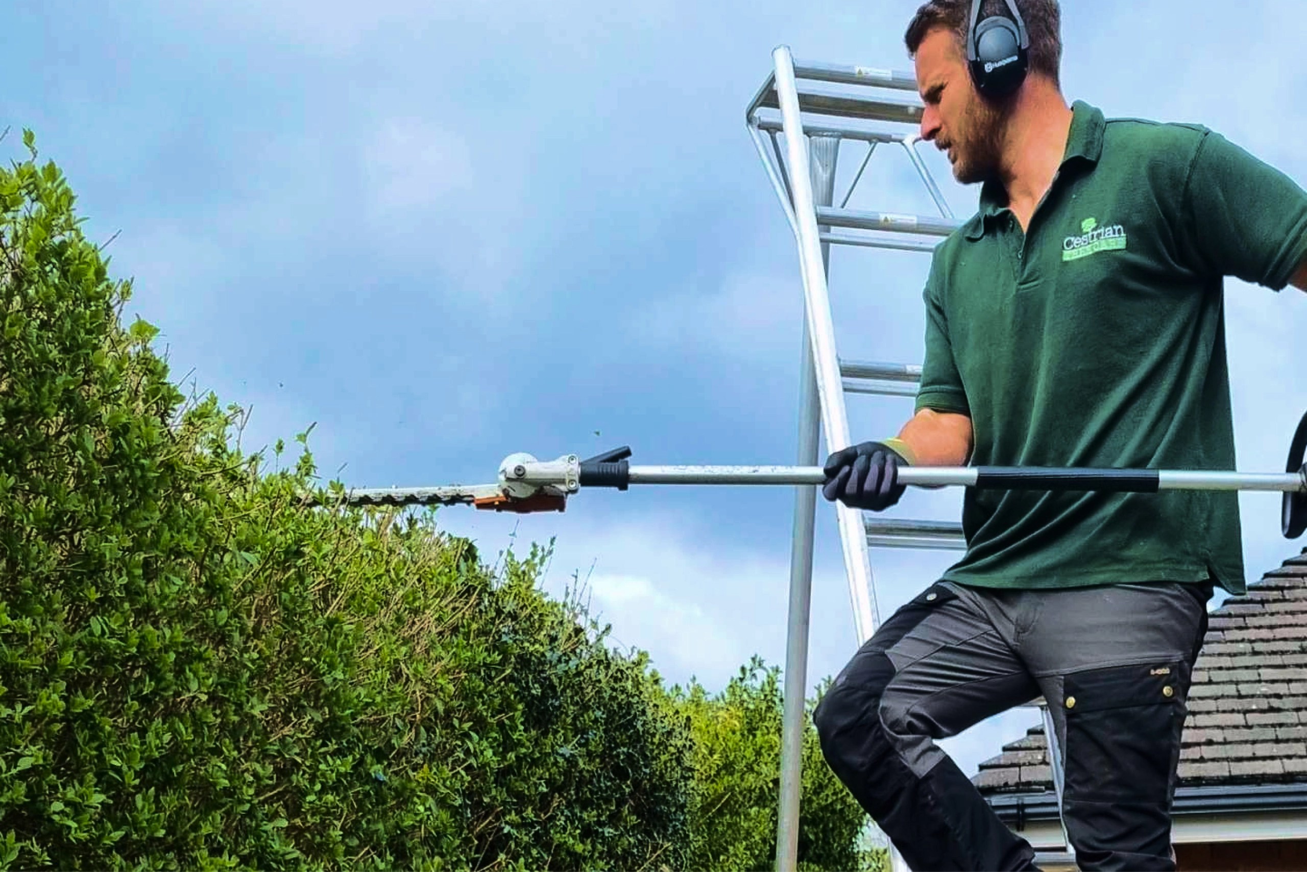 Tree Surgeons in Cheshire Cestrian Tree Care