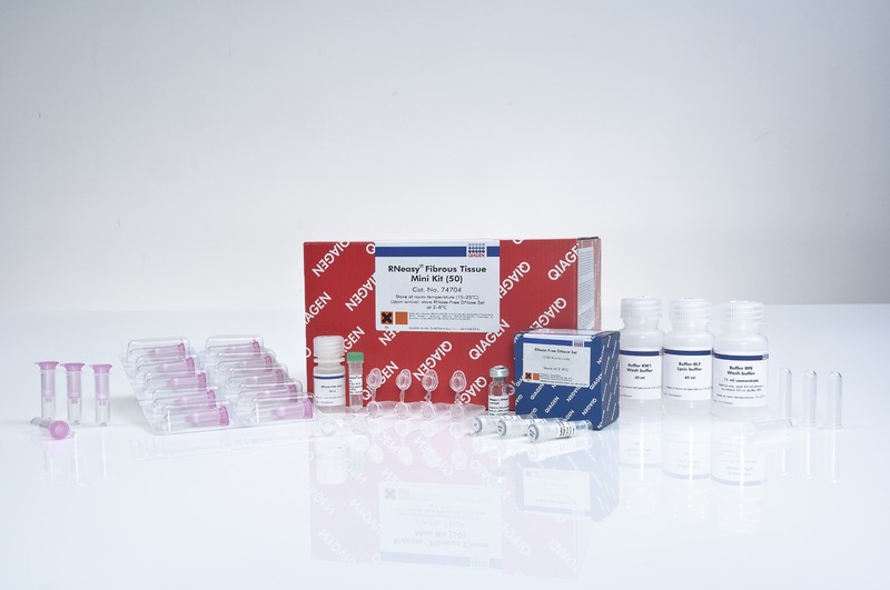 RNeasy Fibrous Tissue Mini Kit CETEPA