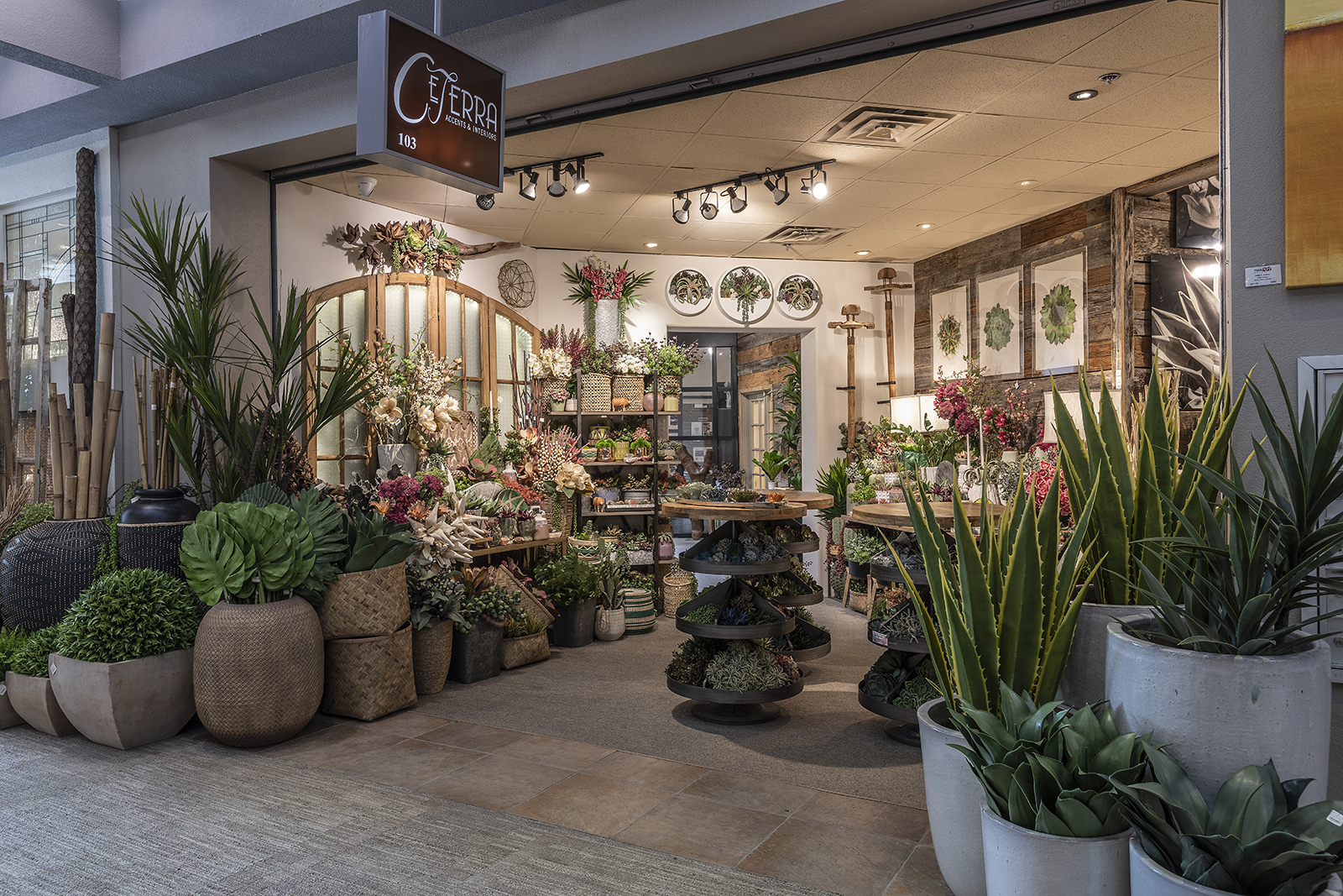 Where Do Interior Designers Shop and How to Shop Like One!