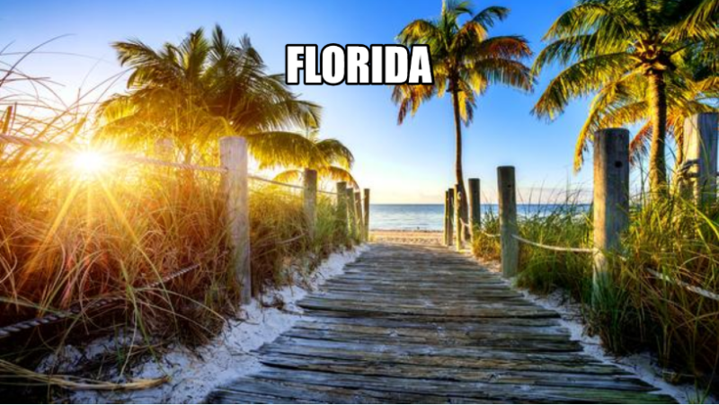 The Florida NHA Bundle (40 Credits) CEUSrEZ