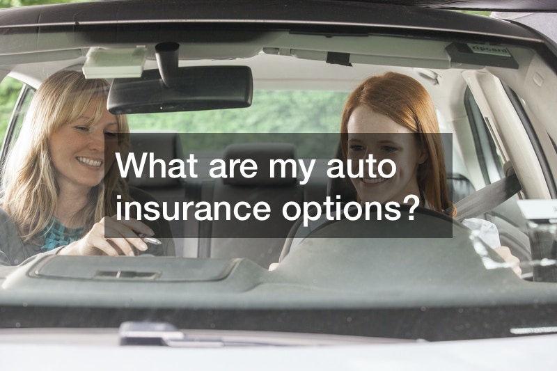 Looking at Your Auto Insurance Options Ceve Marketing
