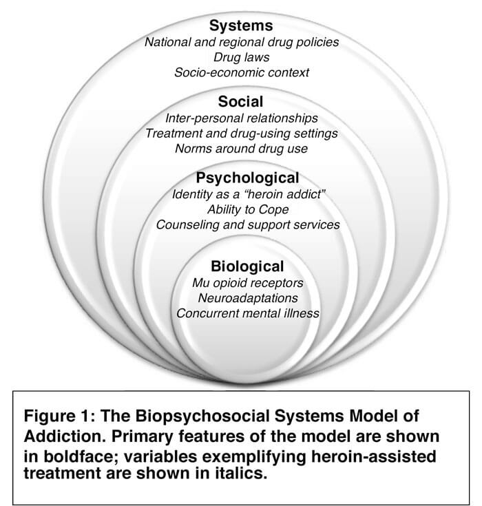 Defining Addiction Centre of Excellence for Women's Health