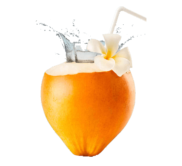 King Coconut Ceylon Bracing Holdings (PVT) LTD