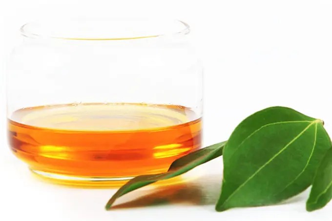 100 Pure Ceylon Cinnamon Leaf oil Ceyshine Corporation