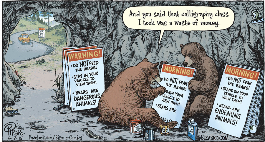 bear Broadsheet.ie