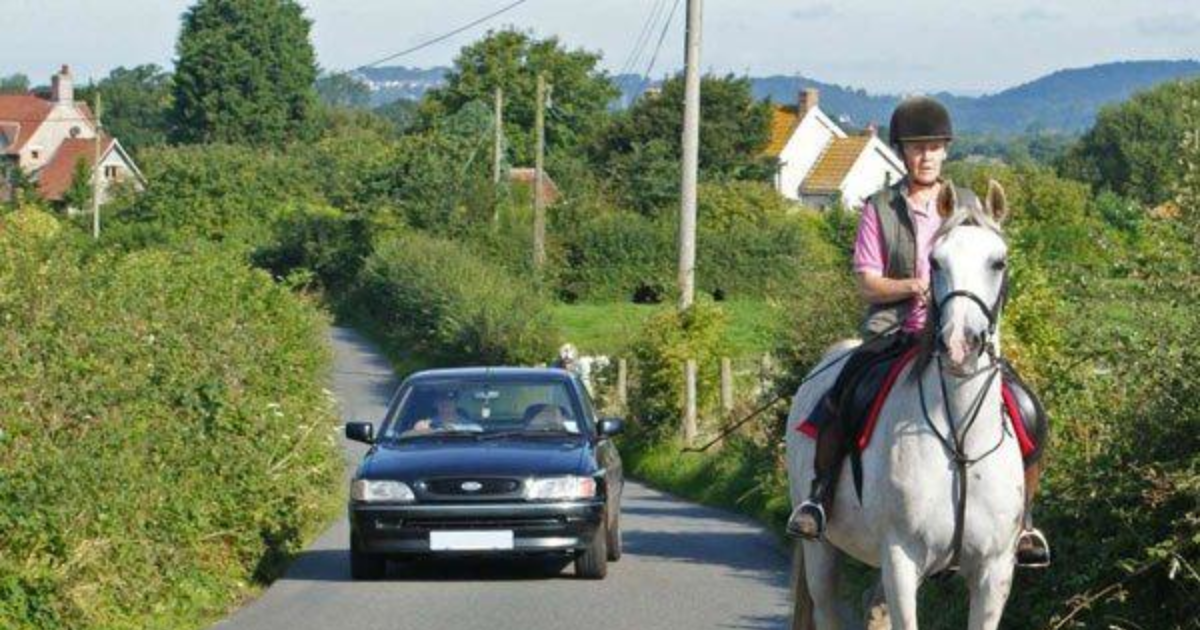 Are horses more efficient than cars