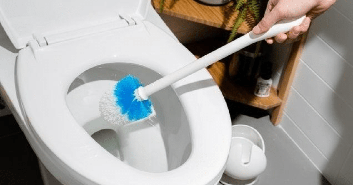 Do you use a toilet brush everytime you go to the bathroom? GirlsAskGuys