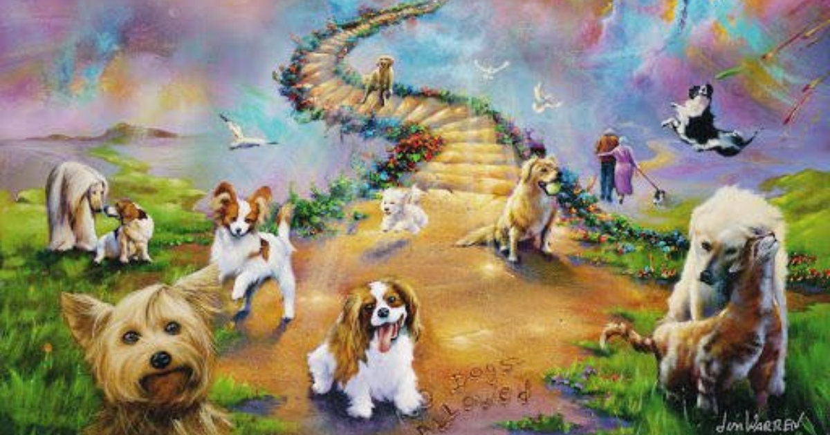 Do you believe that Pets go to Heaven? GirlsAskGuys