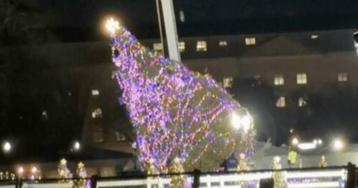 Nation's Christmas tree falls over. More bad news for Joe? GirlsAskGuys