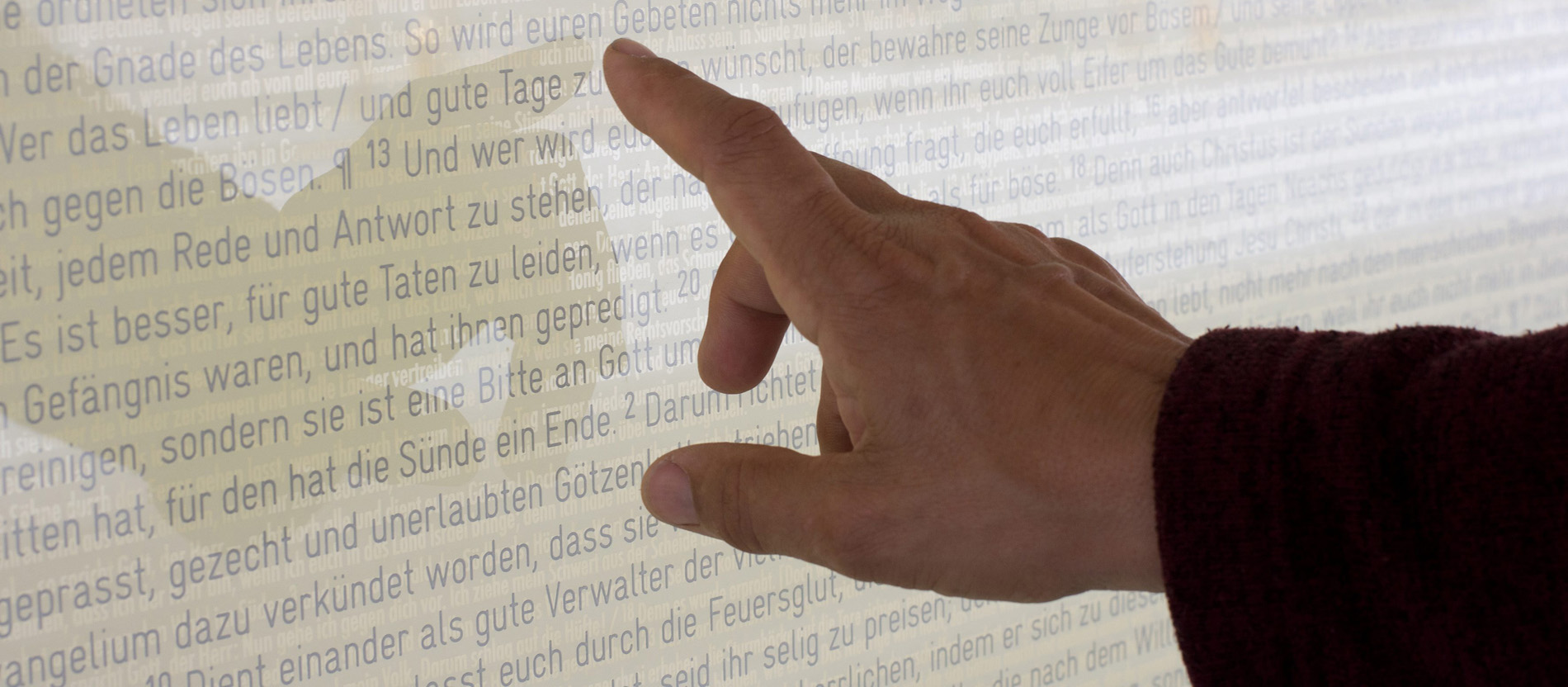 Das Kamel und das Nadelöhr Schwierige Bibelstellen und ihre Deutung