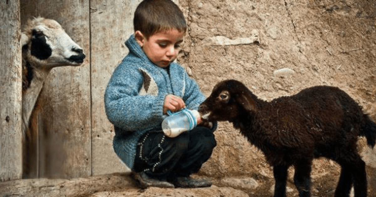 Bizi Biz Yapan, İnsan Yapan Nitelikler KizlarSoruyor