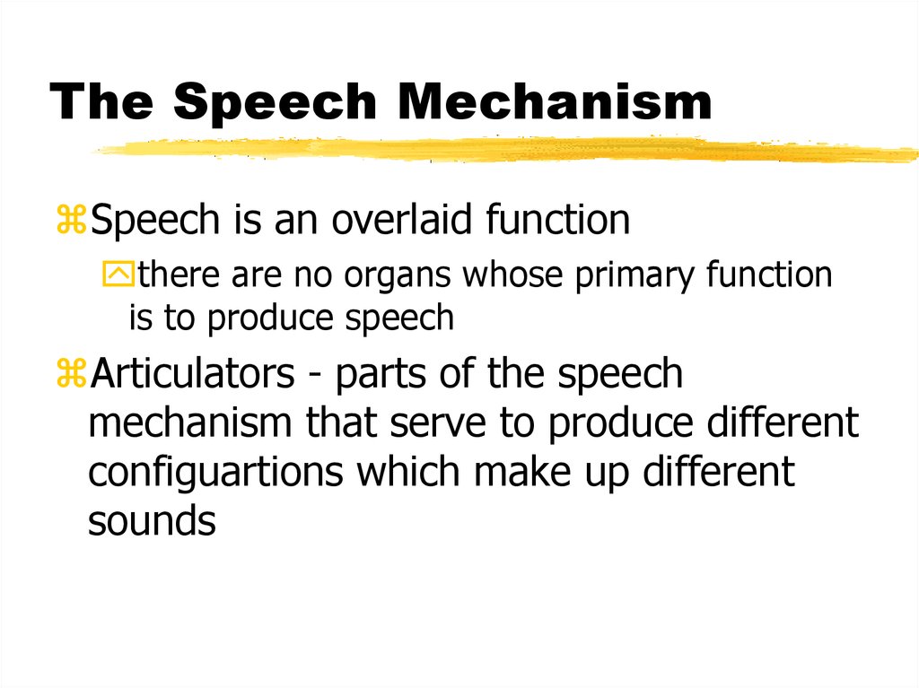 The Speech Mechanism презентация онлайн