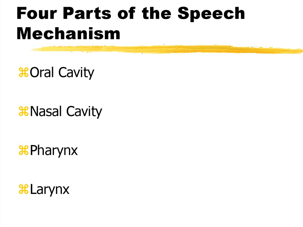The Speech Mechanism презентация онлайн