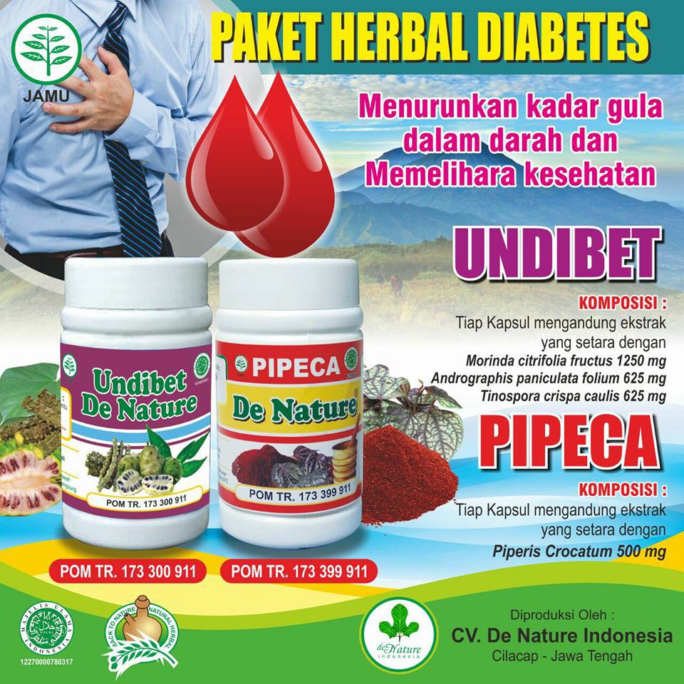 OBAT DIABETES SAKIT GULA GULA KENCING MANIS 100 HERBAL AMAN ASLI