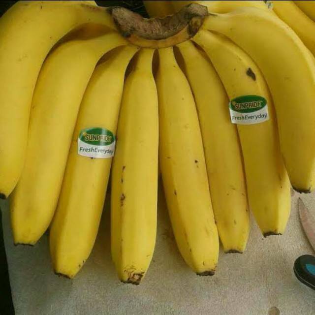 Bibit Pisang Cavendish Sunpride Shopee Indonesia