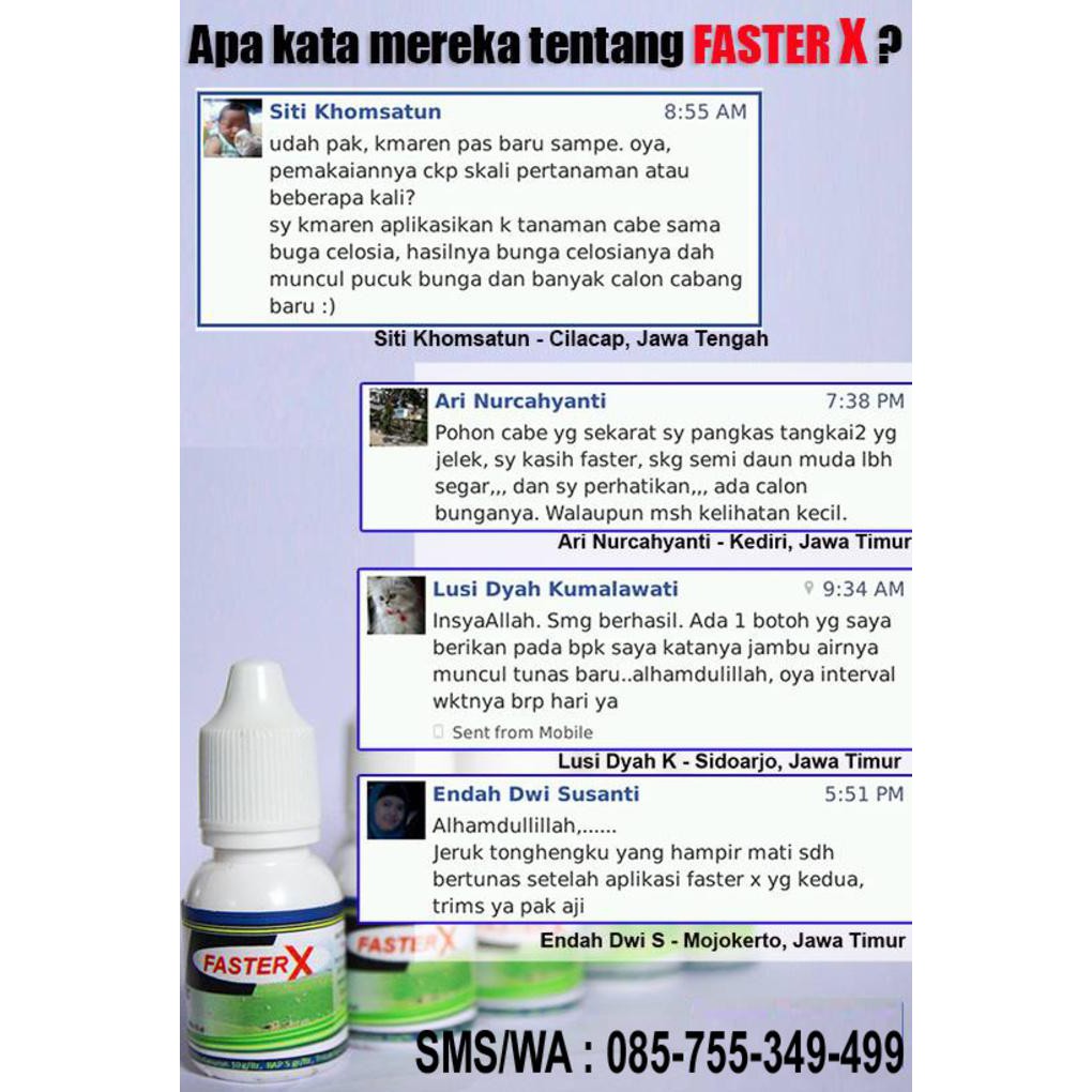 Kata Kata Pm Wa Spesial status wa galau
