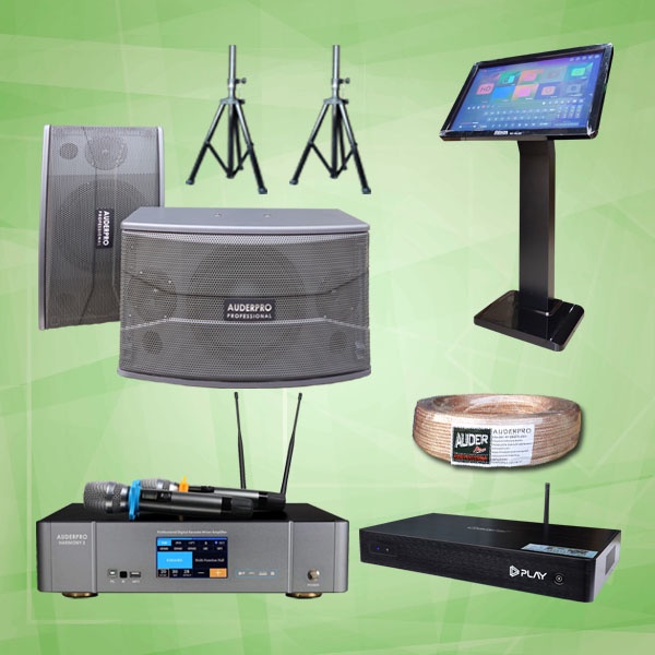 Jual SOUND SYSTEM PAKET KARAOKE D10 MIXER + SPEAKER AUDERPRO 10 INCH
