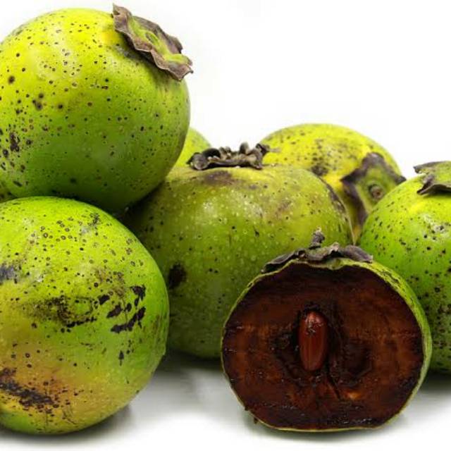 Jual Bibit Buah Black Sapote Sawo Hitam Rasa Coklat Original | Shopee Indonesia