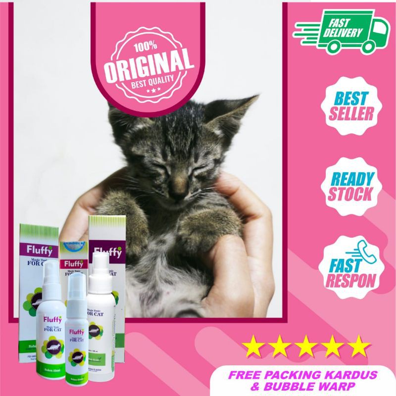 Cara Mengatasi Jamur Pada Kucing Ampuh Menggunakan Fluffy Tonic