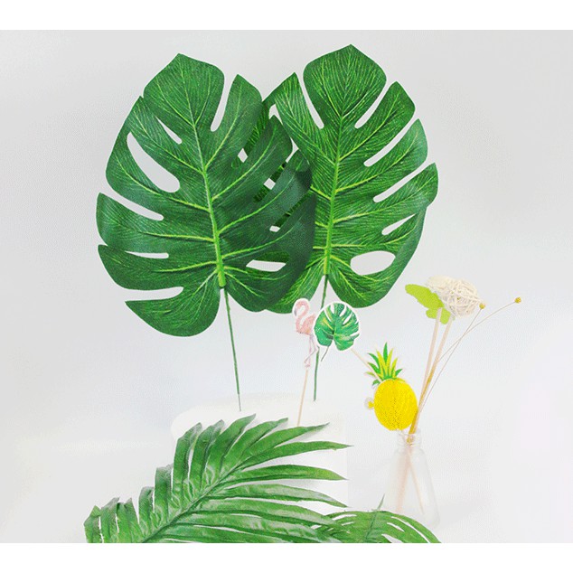 Gambar Daun Hiasan Tips dan Trik Pertanian