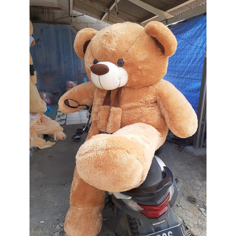 Gambar Boneka Beruang Yang Besar