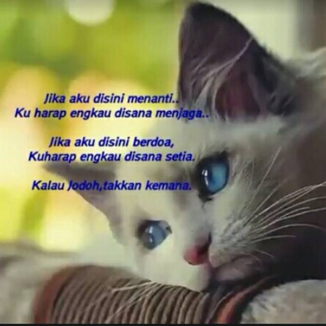 Toko Online diah.83 | Shopee Indonesia