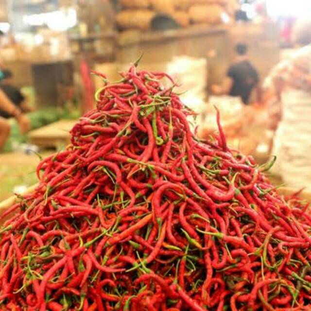 Cabe cabai rawit merah / hijau / cabe keriting 250gr Shopee Indonesia