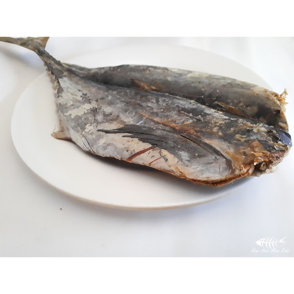 Mimpi Ikan Tongkol Besar