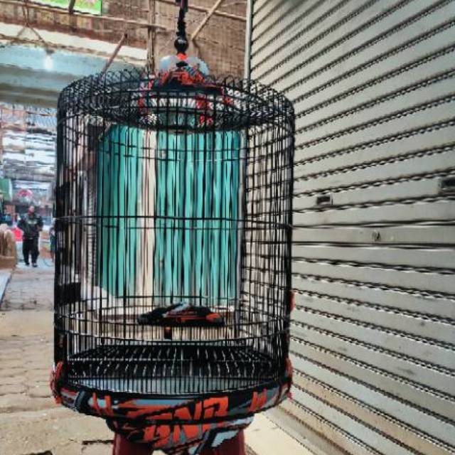 Sangar kurung kandang muray BNR project 3D karet | Shopee Indonesia