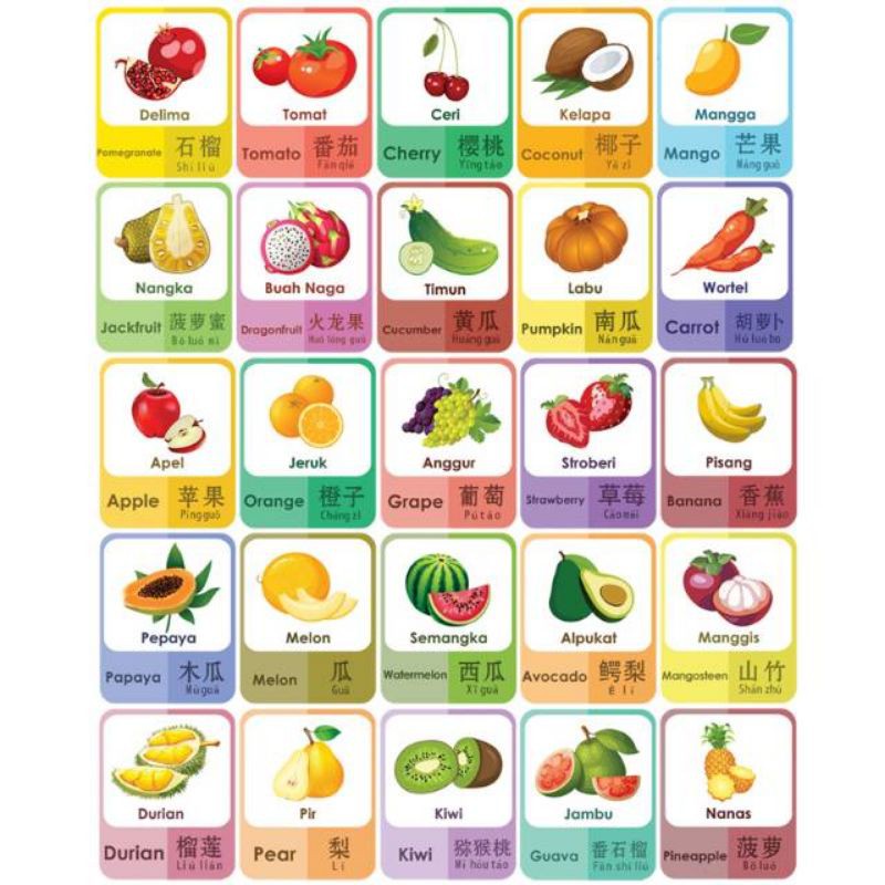 Jual poster buah dan sayur Shopee Indonesia