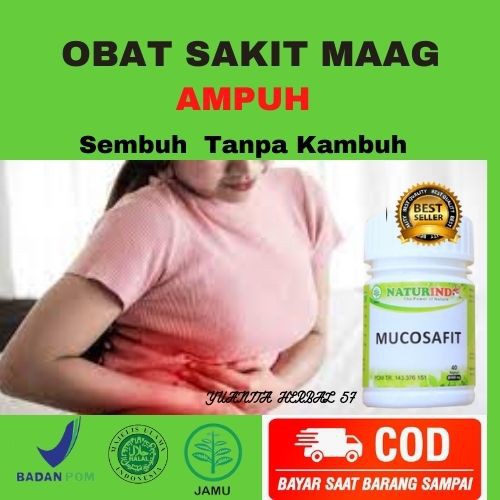 Obat Sakit Maag Ampuh Perut Kembung Melilit Asam Lambung Akut Sakit Maag  Kronis Obat Mual Perih Kembung Gerd Sering Sendawa Sembuh Tanpa Kambuh  Herbal Alami BPOM Halal Tanpa Efek Samping | Shopee
