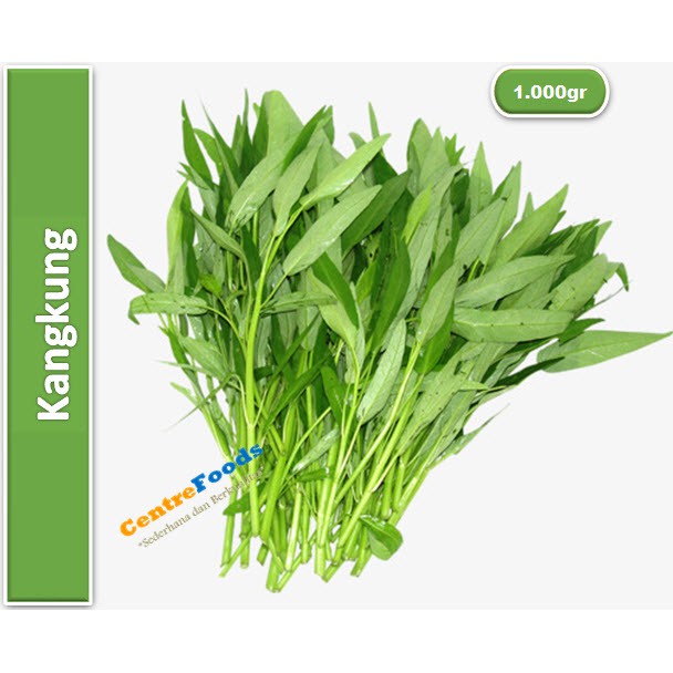 Kangkung Fresh | Jabar [ Harga Per KG ] | Shopee Indonesia