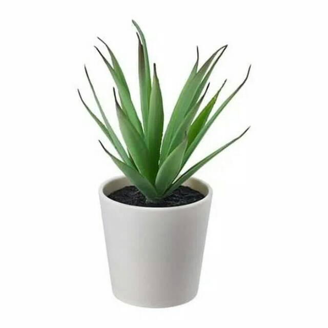 IKEA Plants Tanaman ikea fejka pot vintage rumput daun rambat hias