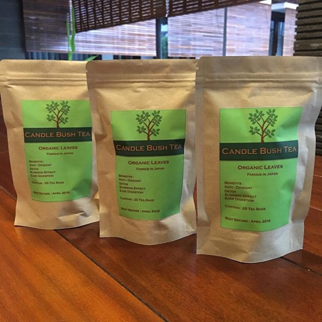 Jual Candlebush Tea 1 pack [W003] Candle Bush Tea, Teh Kurus, Teh