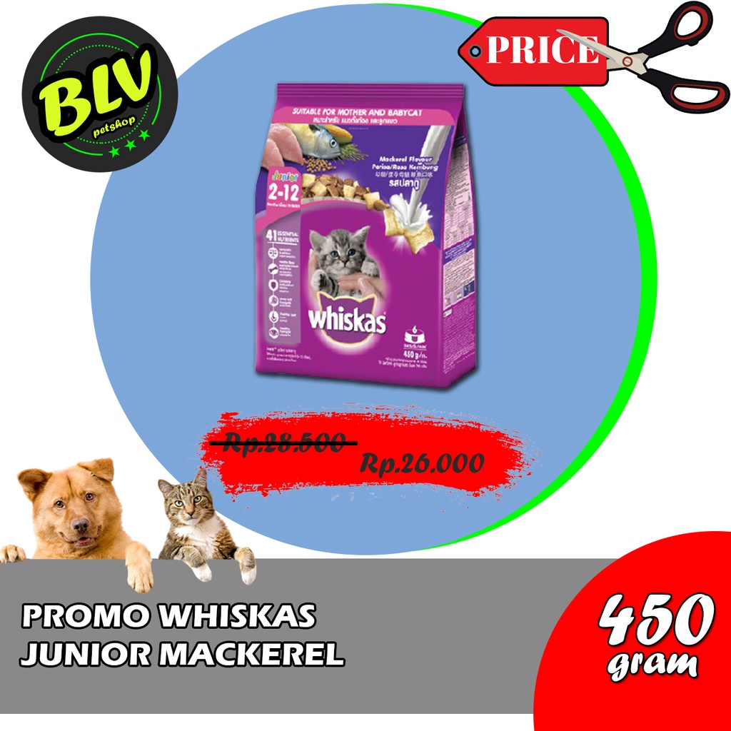 Jual WHISKAS JUNIOR MAKAREL 450GR / MAKANAN KERING Shopee Indonesia