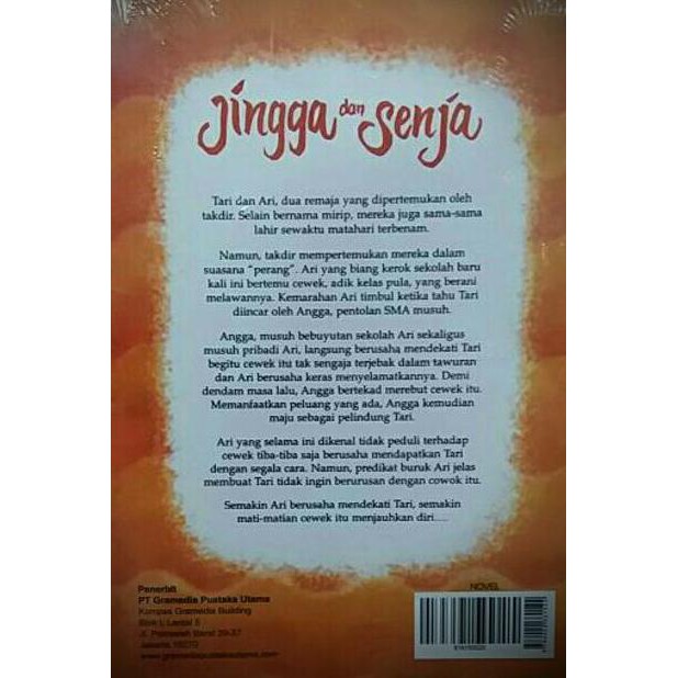 Resensi Novel Jingga Dan Senja Tugas Sekolahku