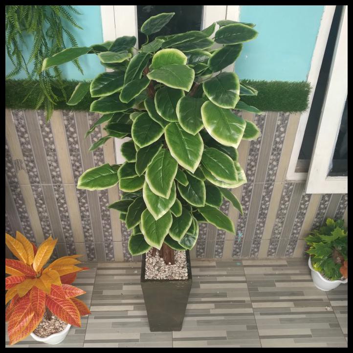 Harga Pohon Plastik Terbaru September 2021 | BigGo Indonesia