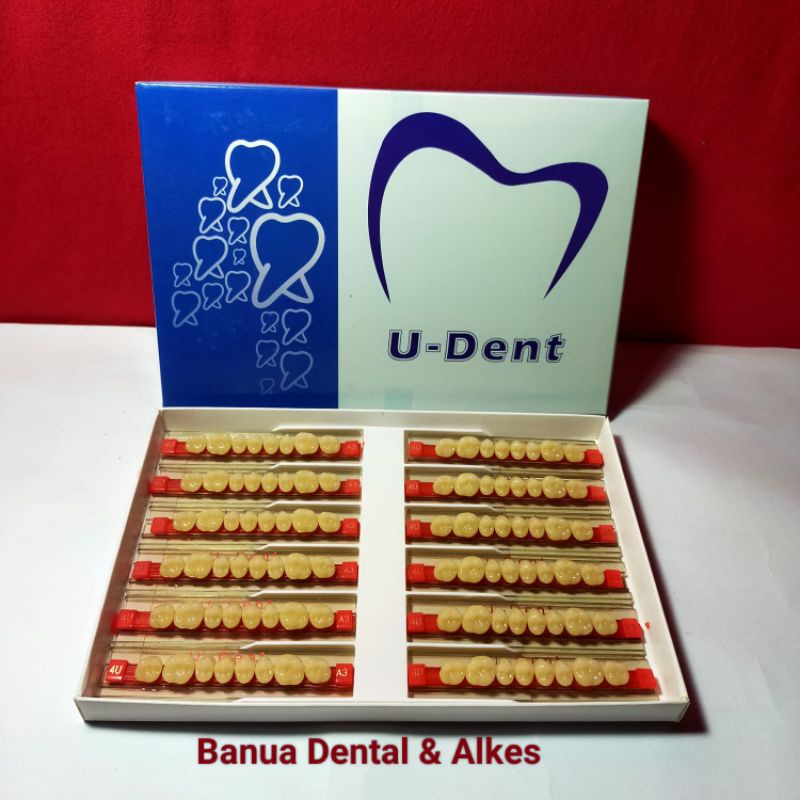 Jual Gigi UDent Udent geraham (posterior) adalah bahan untuk membuat